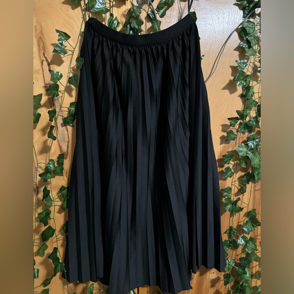 Black simple pleated skirt